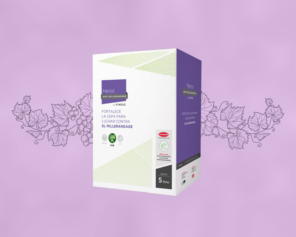 LALLEMAND_PACK_MERLOT